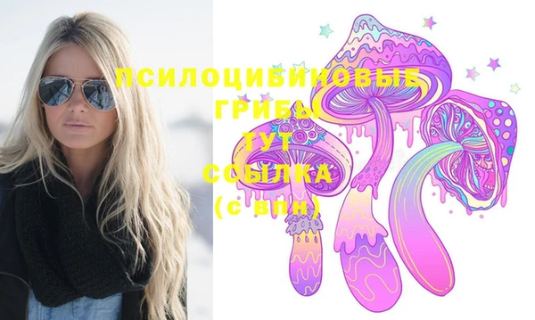 Альфа ПВП Алзамай