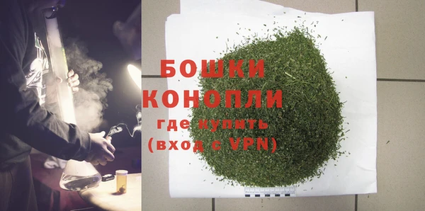 PSILOCYBIN Абаза