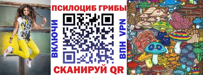 Псилоцибиновые грибы MAGIC MUSHROOMS  omg зеркало  Тотьма 